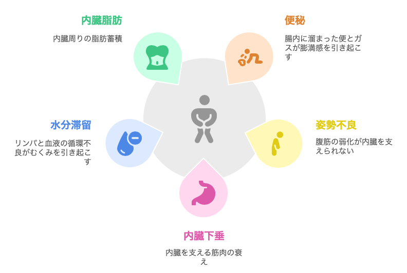 ぽっこりお腹の原因